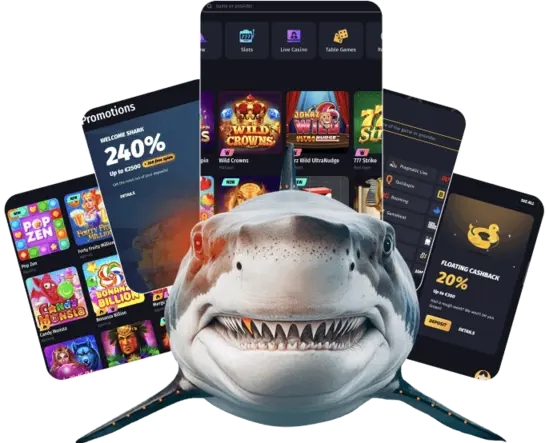 Winshark banner